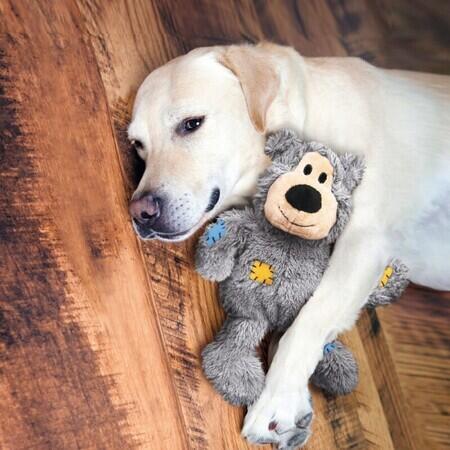 Hund med Kong wild knots bear