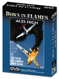 Down in flames Aces High