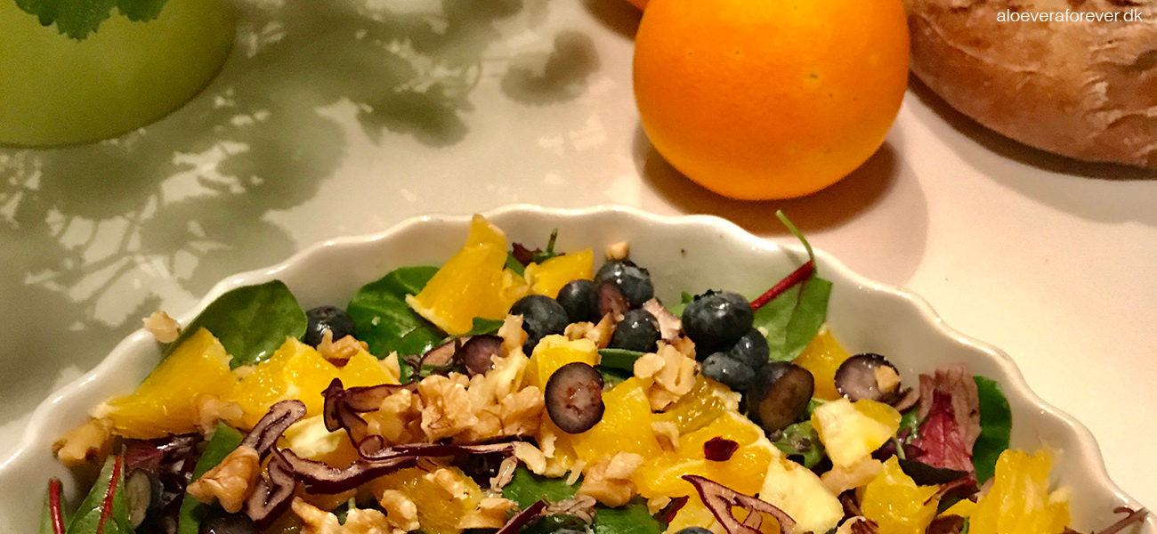 Inspiraiton til sundere mad med Dinfitvejleder.dk