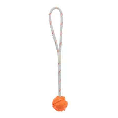 Trixie bold med reb – Flydende hundelegetøj med en orange gummibold (4,5 cm) og et gråt reb med orange detaljer (35 cm).