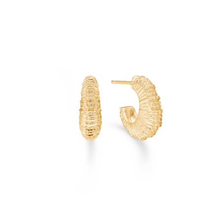 Seashell Secrets hoops udført i 925 ren sterlingsølv belagt med en slidstærk forgyldning i 18 karat guld.