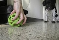 Dog Comets Titan grøn give til hunden