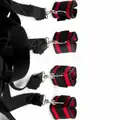 Black and red wrist and ankle bed restraint with adjustable straps