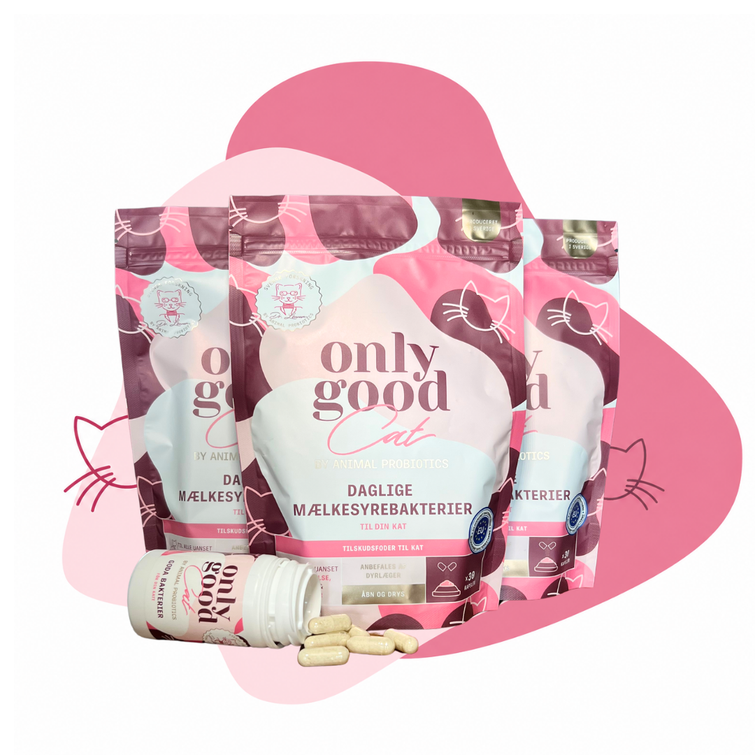 OnlyGoodCat – Large Pakke – 60 portioner