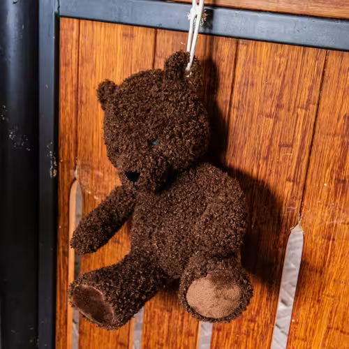 Kentucky Relax Toy Bear