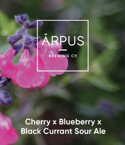 Arpus - Cherry x Blueberry x Black Currant Sour Ale - DinØl.dk