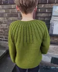 Ryggen af Dreng iført strikket Haralds sweater fra Petiteknit i grøn