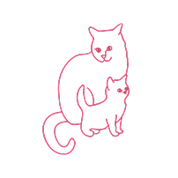 Kat illustration