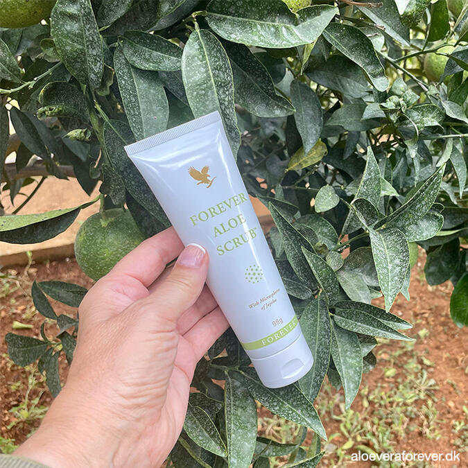 aloe gel under eyes Eye Gel 30g – Nellie Tier