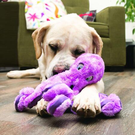 Hund leger med Kong Softseas Octopus - L