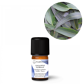 Eukalyptus æterisk olie i flaske. Eucalyptus. Økologisk. Køb hos Aromaliv.dk