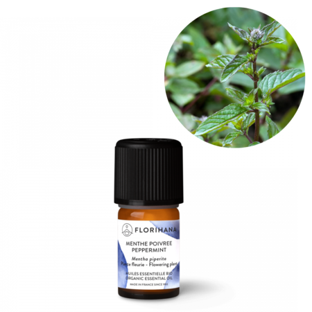 Pebermynte æterisk olie i flaske. Peppermint økologisk. Køb hos Aromaliv.dk