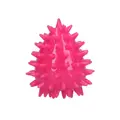 Dog Comets Cosmic Egg - S