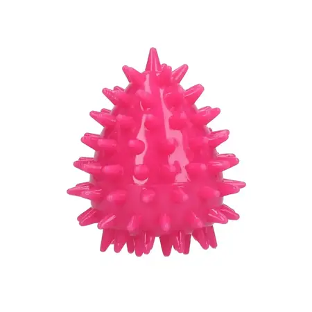 Dog Comets Cosmic Egg - S
