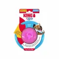 Kong Puppy Gyro