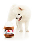 mutella, nutella, nutella bamse, nutellabamse, mutella bamse