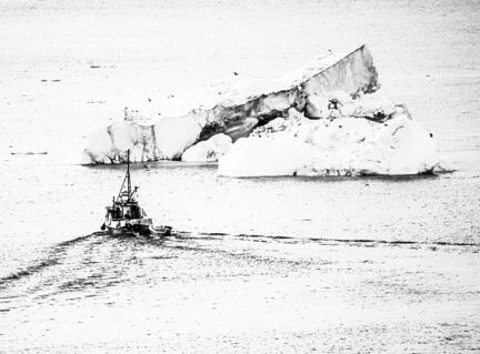 fotomester grønland ilulissat