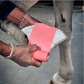 Animalintex® antiseptisk hov omslag og sårbehandling af hest