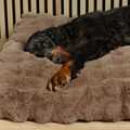 Scruffs Alpine pude - Taupe