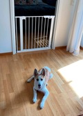 Dogspace Lassie Pressure fitted pet gate - hvid