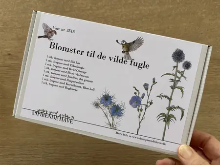 Blomster til de vilde fugle i haven