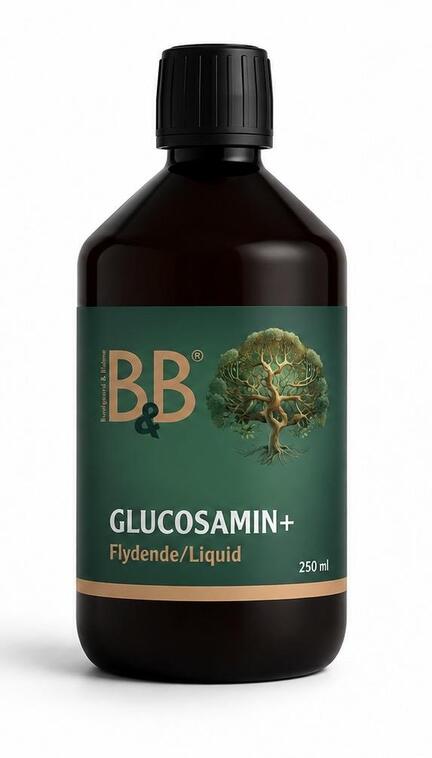 B&B Glucosamin+ Flydende
