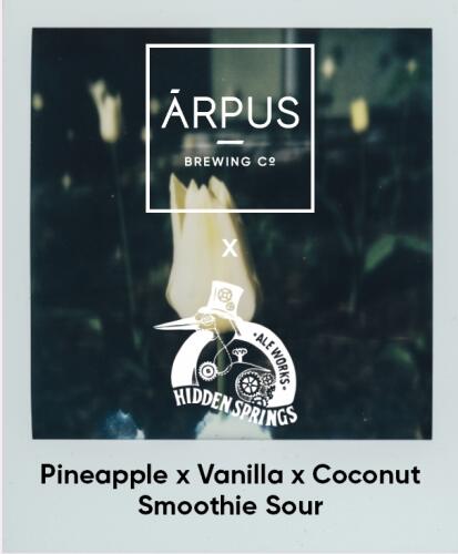 Arpus - Ārpus x Hidden Springs Pineapple x Vanilla x Coconut Smoothie Sour Ale - DinØl.dk