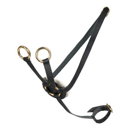 Cheval Roi sort martingal til kæphest