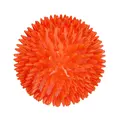 Dog Comets Cosmic Egg -L