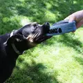 Hund med Kong Maxx Ring