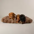 Scruffs Alpine pude - Taupe
