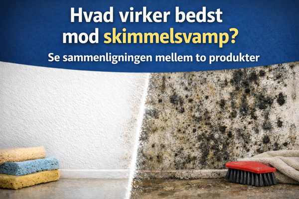 Billedet viser to vægge en med skimmel og en uden