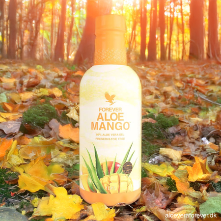 Forever Aloe Mango fra Forever Living i efterårsskov