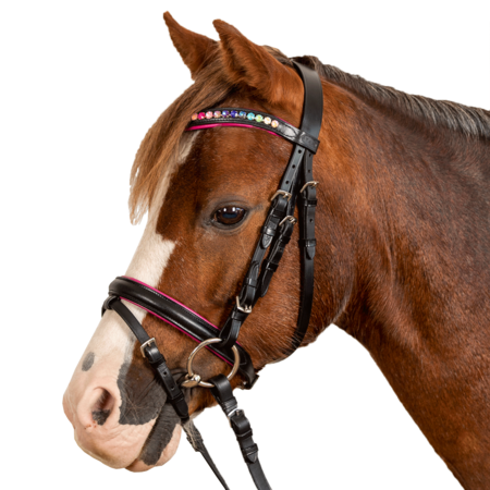 Waldhausen STAR Pinky trense med tøjler til shetlandspony, minishetland & pony