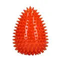Dog Comets Cosmic Egg -L
