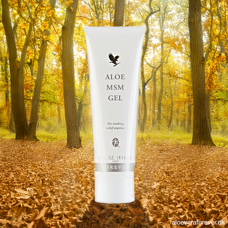 Aloe MSM Gel massagegel