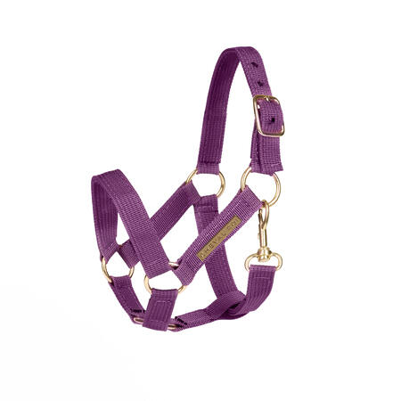 Cheval Roi grime til kæphest i Amethyst Lilla