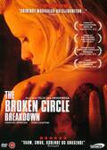 The Broken Circle Breakdown, Movie, DVD