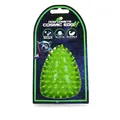 Dog Comets Cosmic Egg - M