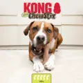 Hund med Kong Chewstix Ultra