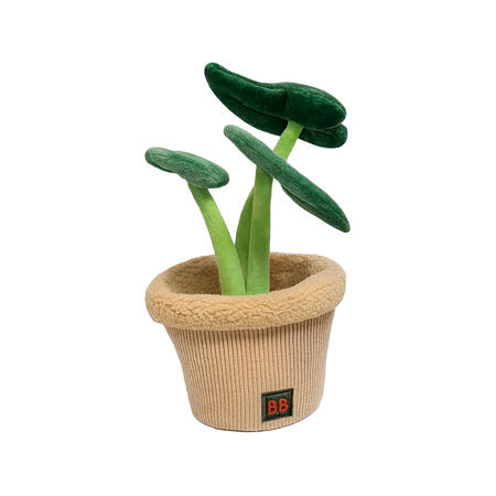 B&B Pawtanic Garden Snuseplante – Snusetæppe 35 cm