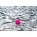 Pink Dog Comets Exoplanet Spiky Bold på vandet