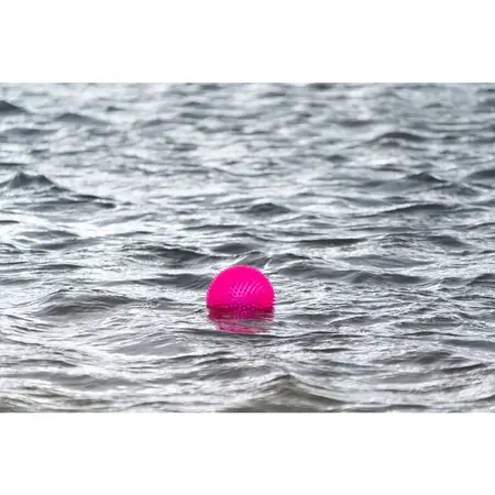 Pink Dog Comets Exoplanet Spiky Bold flyder på vandet