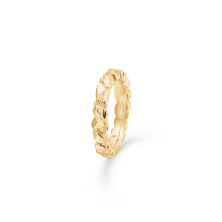 Element ring in gold-plated silver | Studio Z