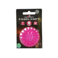 Dog Comets Exoplanet Spiky Bold med piv - S, pink