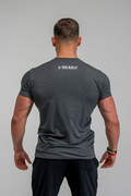 Stony Sportswear, Deadlift, T-Shirts Logo Grå 3