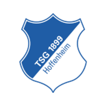 TSG Hoffenheim klublogo som rundt sukkerprint til fodboldkage
