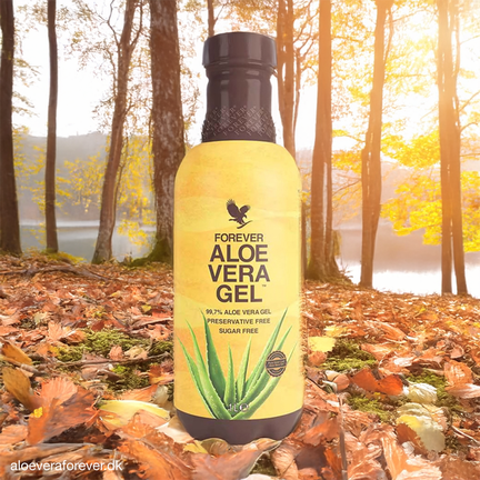 Forever Aloe Vera Gel™ drik i gul flaske – naturlig aloe vera juice fra Forever Living