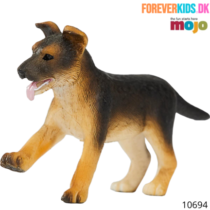 Mojo Schæfer hundehvalp_foreverkids.dk_MJ-387261
