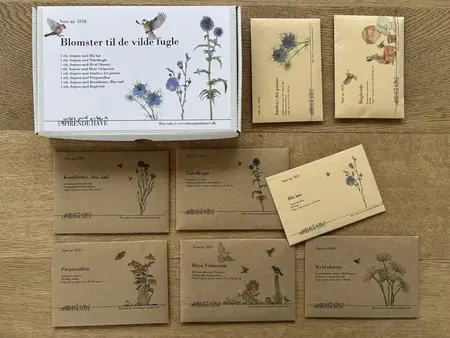 Frøkasse med blomster til de vilde fugle